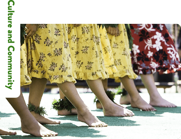 Culture and Community